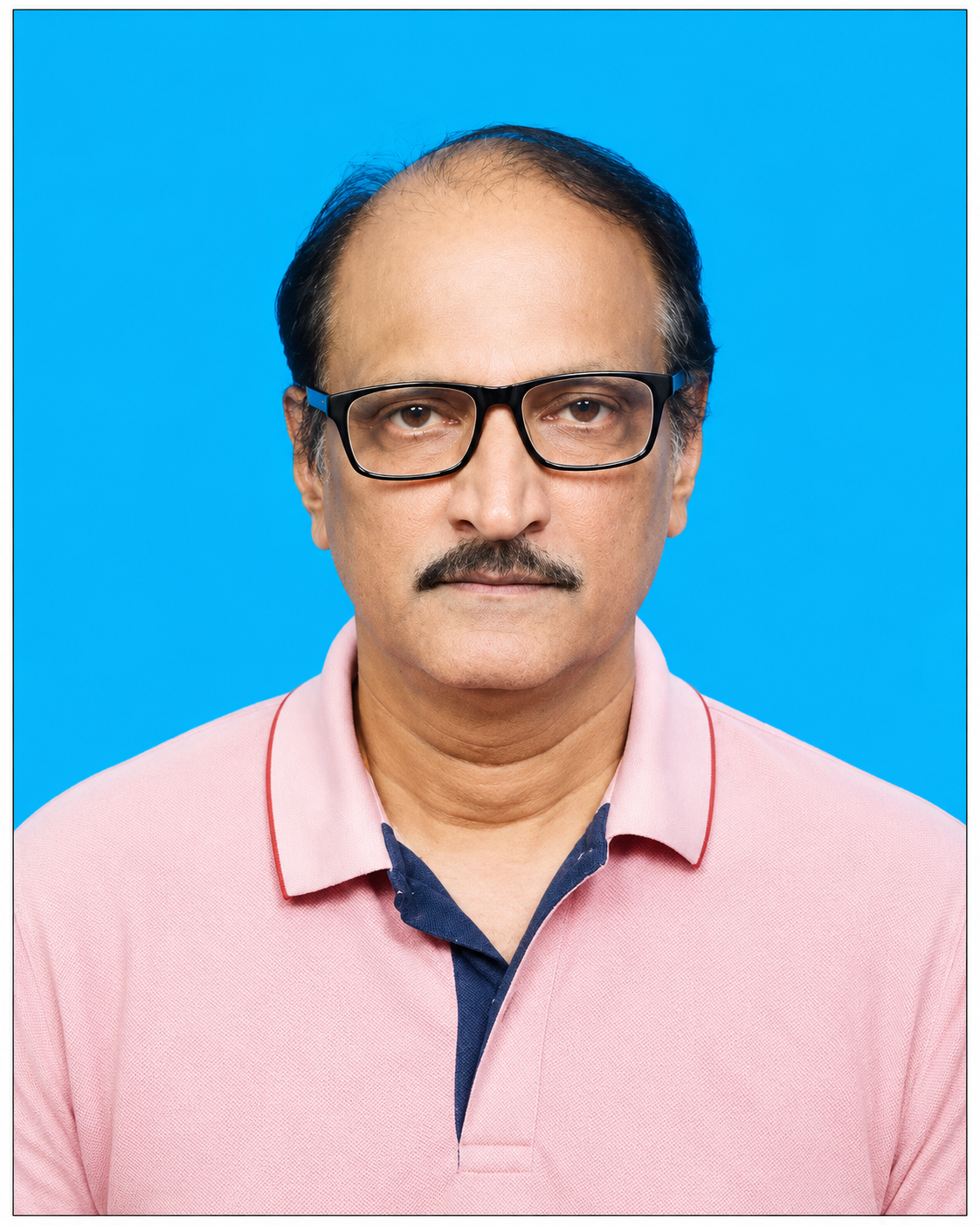 S. Narasimha Rao